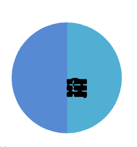 271x289 Is There A Possibility To Add An Icon To Piechart Slice