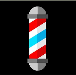 300x298 Icon Pop Word