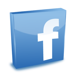 Facebook Icon Download Social Snow Icons Iconspedia 256x256 Facebook Icon Download Social Snow Icons Iconspedia