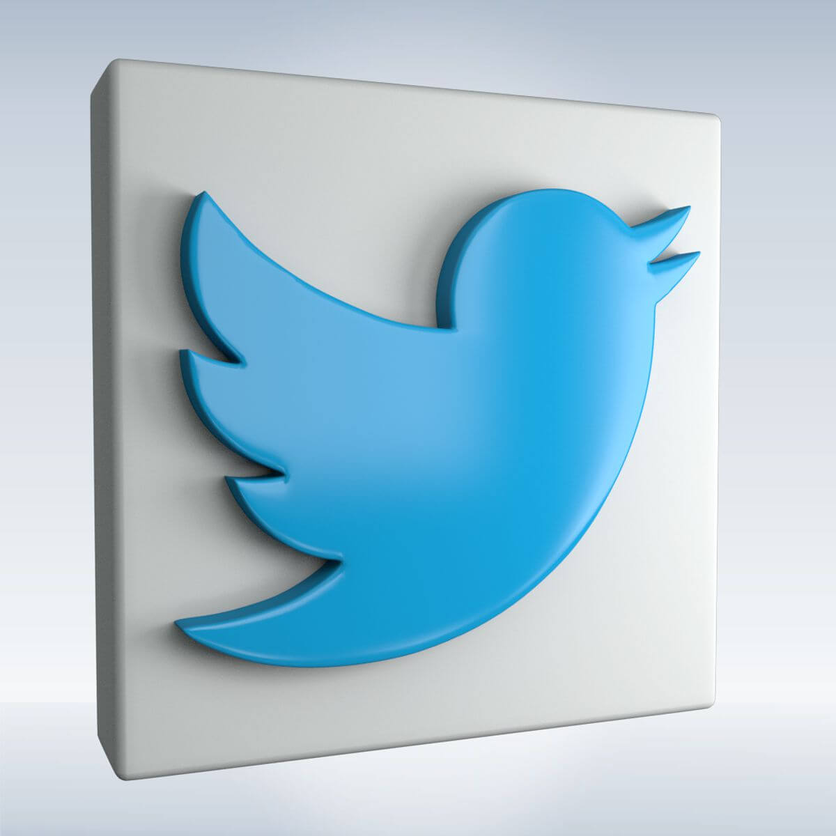 Twitter Logo Icon Model 1200x1200 Twitter Logo Icon Model