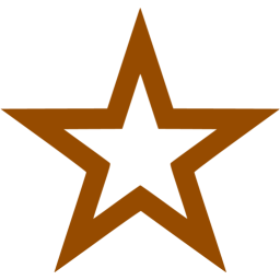 256x256 Brown Star Icon