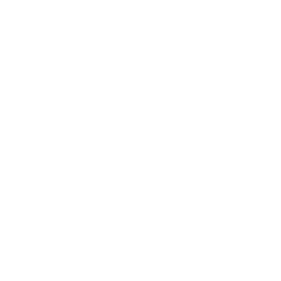 256x256 White Star Icon