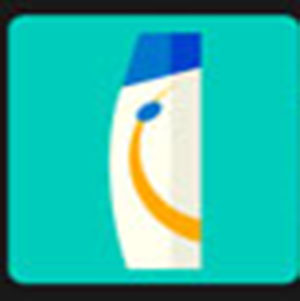 300x301 Icon Pop Brand Image