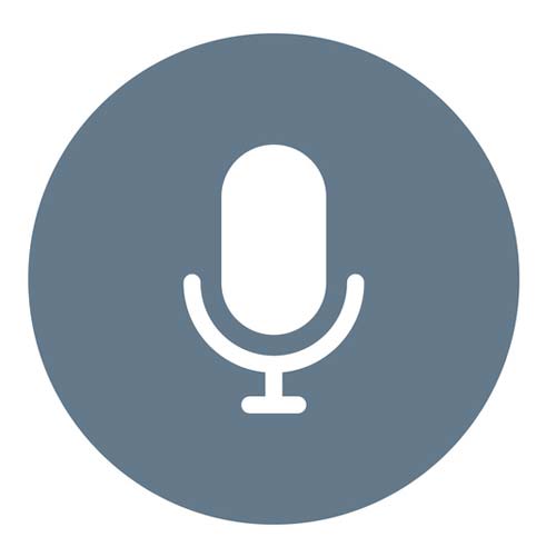 500x501 Microphone Icon