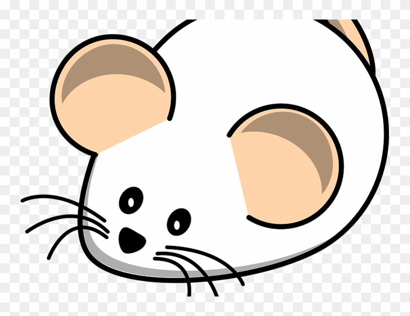 abcmouse-icon-at-vectorified-collection-of-abcmouse-icon-free-for