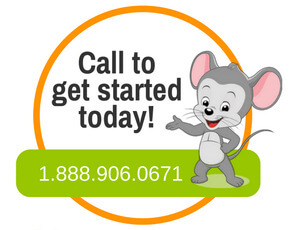 295x230 Abcmouse Icon Infobit