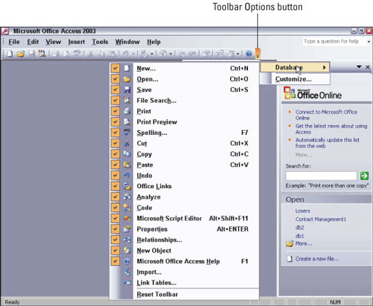 525x431 Customizing The Office User Interface