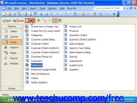 480x360 Access Tutorial Form And Report Design View Microsoft Lesson
