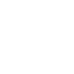 256x256 White Accessibility Icon