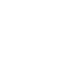256x256 White Cottage Icon