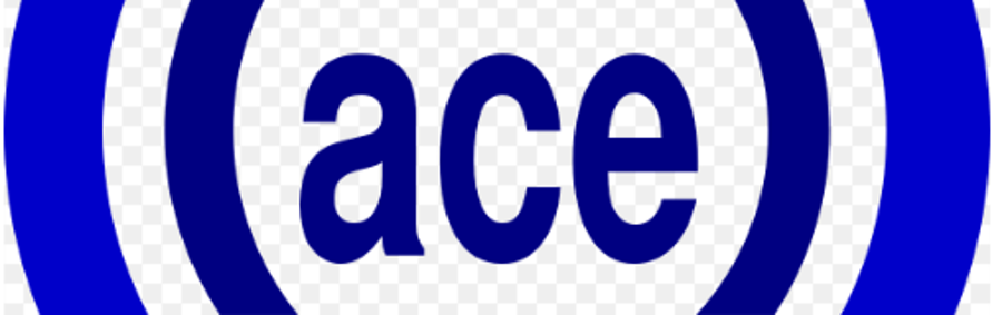 900x283 Fileace Icon