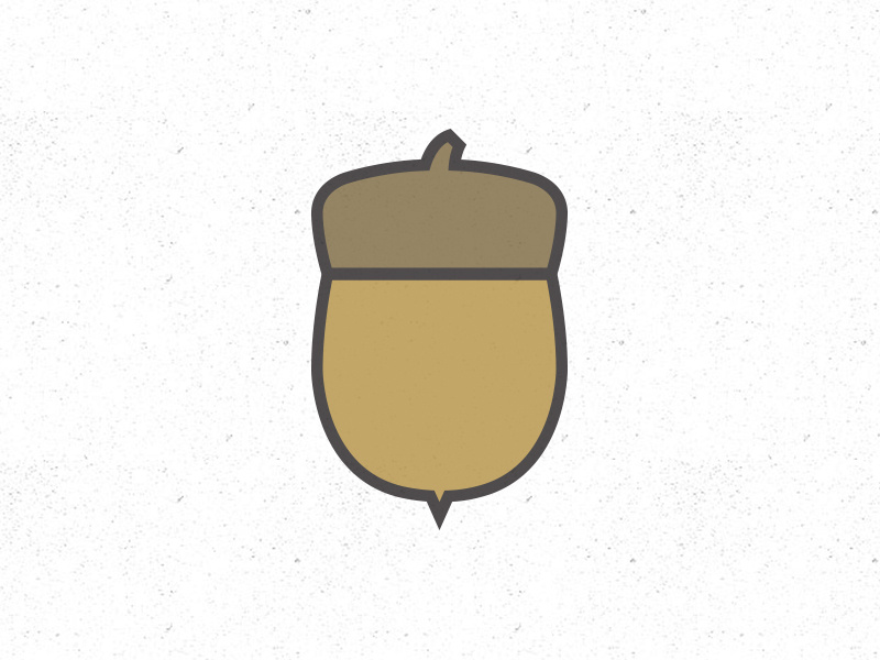 800x600 Acorn Icon