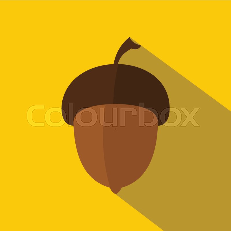 800x800 Acorn Icon Flat Illustration Of Acorn Stock Vector Colourbox