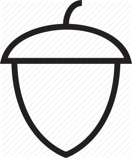 428x512 Acorn Icon