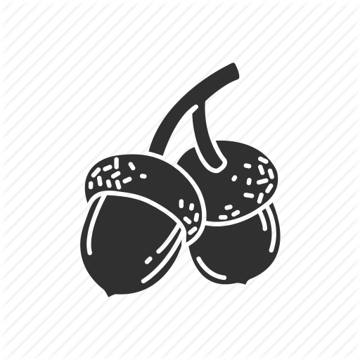 512x512 Acorn, Acorns, Nuts, Oak Nut Icon