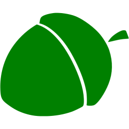 256x256 Green Acorn Icon
