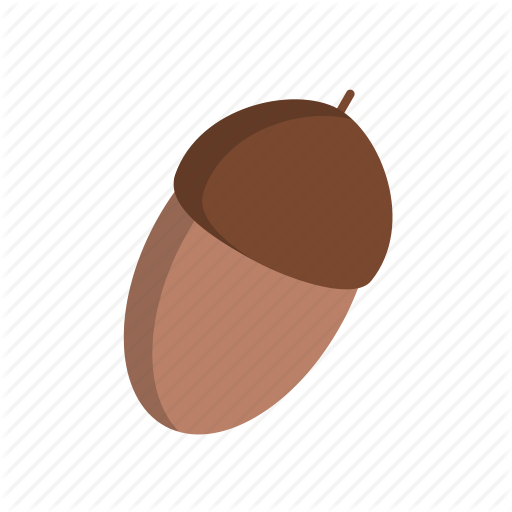 512x512 Acorn, Decoration Icon