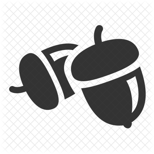 512x512 Acorn Icon Of Glyph Style