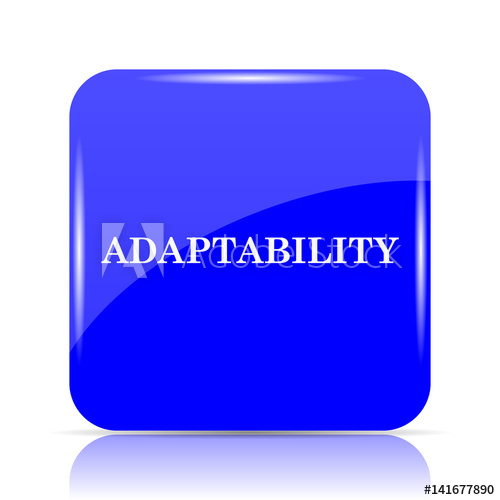 500x500 Adaptability Icon