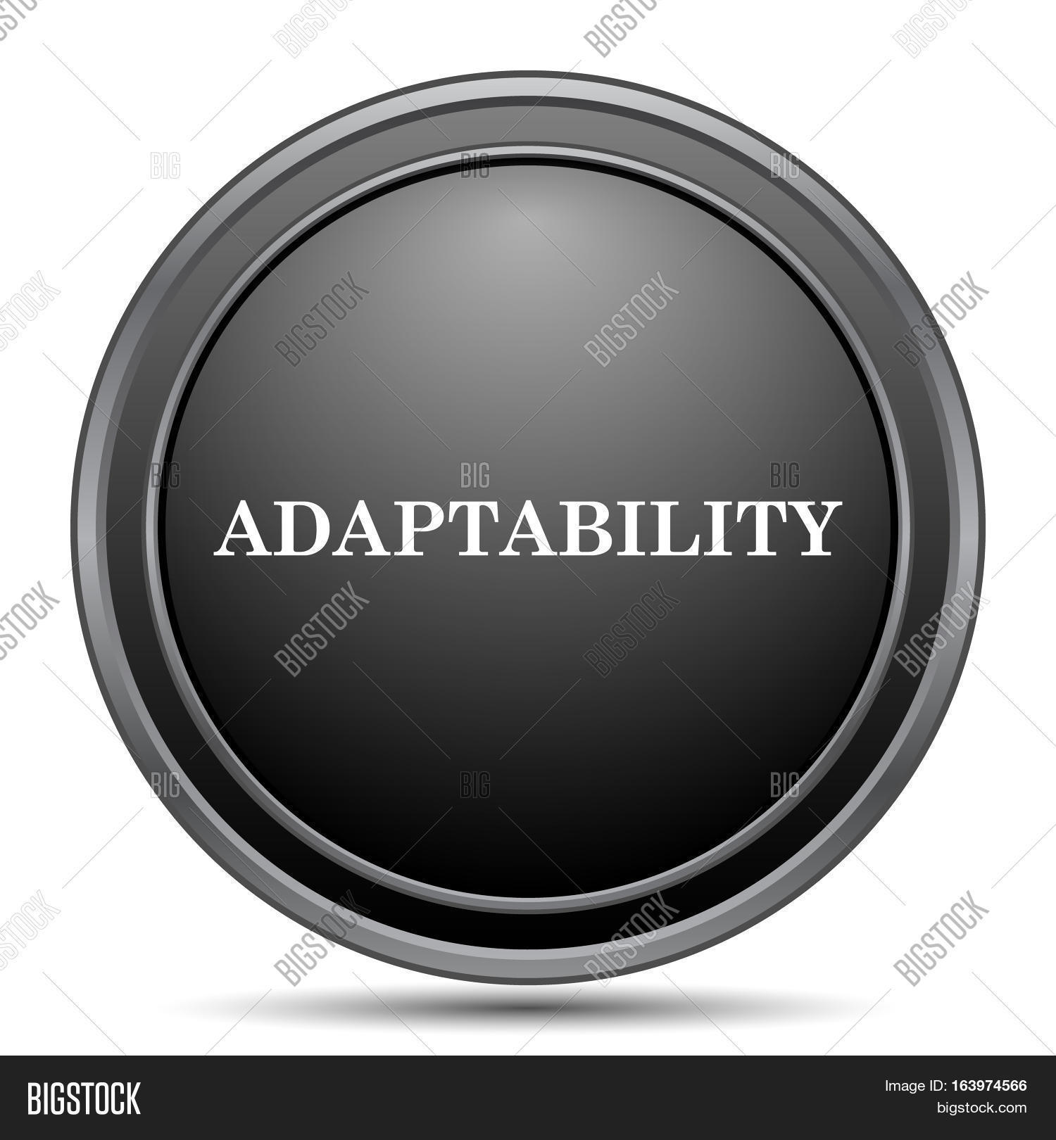 1500x1620 Adaptability Icon