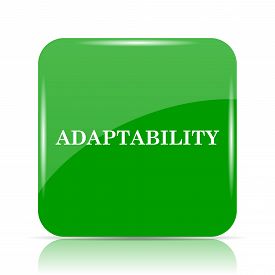 275x275 Adaptability Icon Image