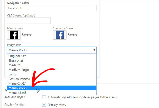 How To Add Social Media Icons To Wordpress Menus 550x374 How To Add Social Media Icons To Wordpress Menus