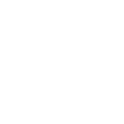 256x256 Free White Adobe After Effects Icon