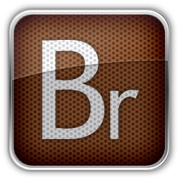 256x256 Adobe Bridge Icons, Free Icons In Mx Is