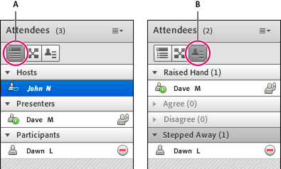 395x238 Manage Meeting Attendees In Adobe Connect