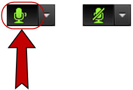 275x186 Turning Microphone On, Muting, And Off
