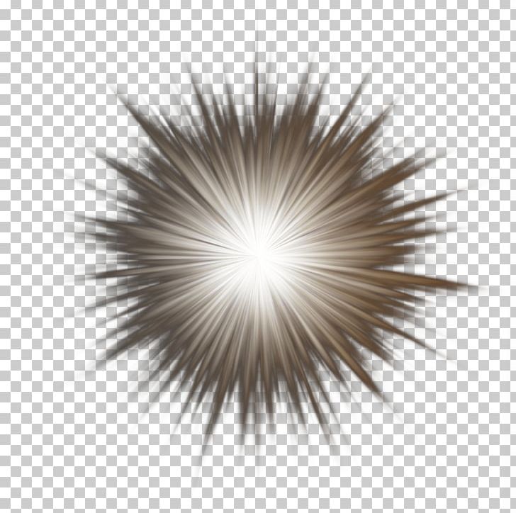 728x724 Adobe Flash Player Icon Png, Clipart, Adobe Flash P, Adobe