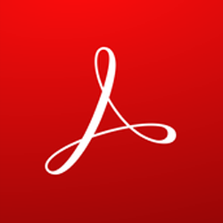 Adobe Reader Icon 250x250 Adobe Reader Icon