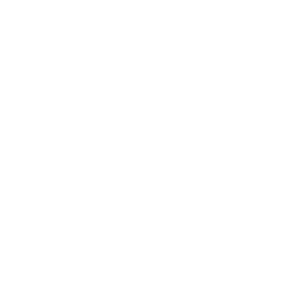 256x256 Free White Adobe Indesign Icon