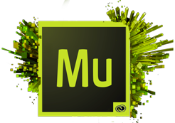 246x173 Adobe Muse Cc Training Level Mira Images