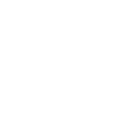 256x256 Free White Adobe Photoshop Icon
