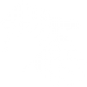 300x300 Adoption Icon