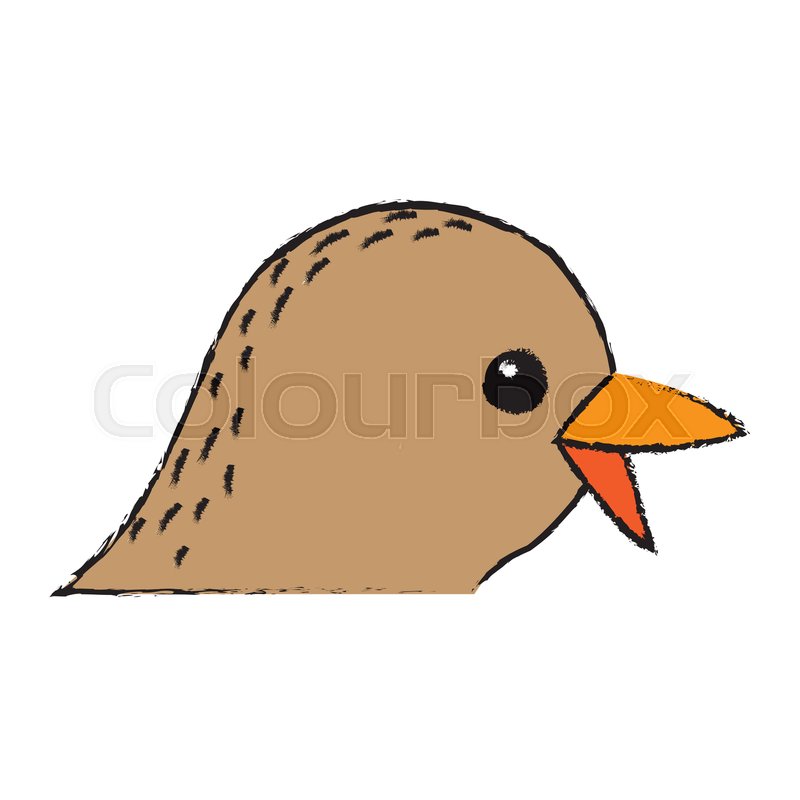 800x800 Cute Bird Exotic Beak Feather Adorable Stock Vector Colourbox