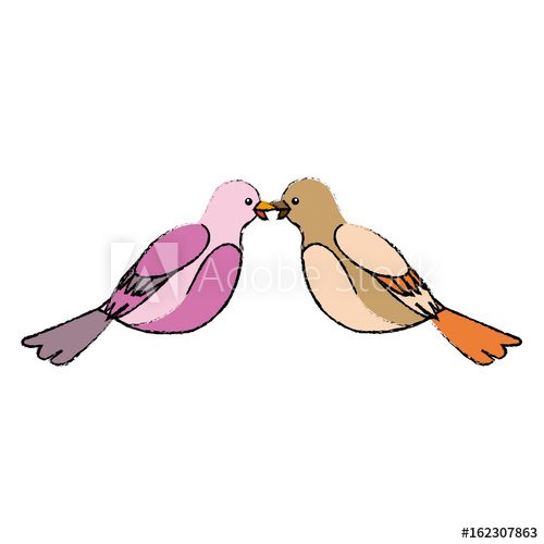 500x500 Cute Bird Exotic Beak Feather Adorable Icon Vector Illustration