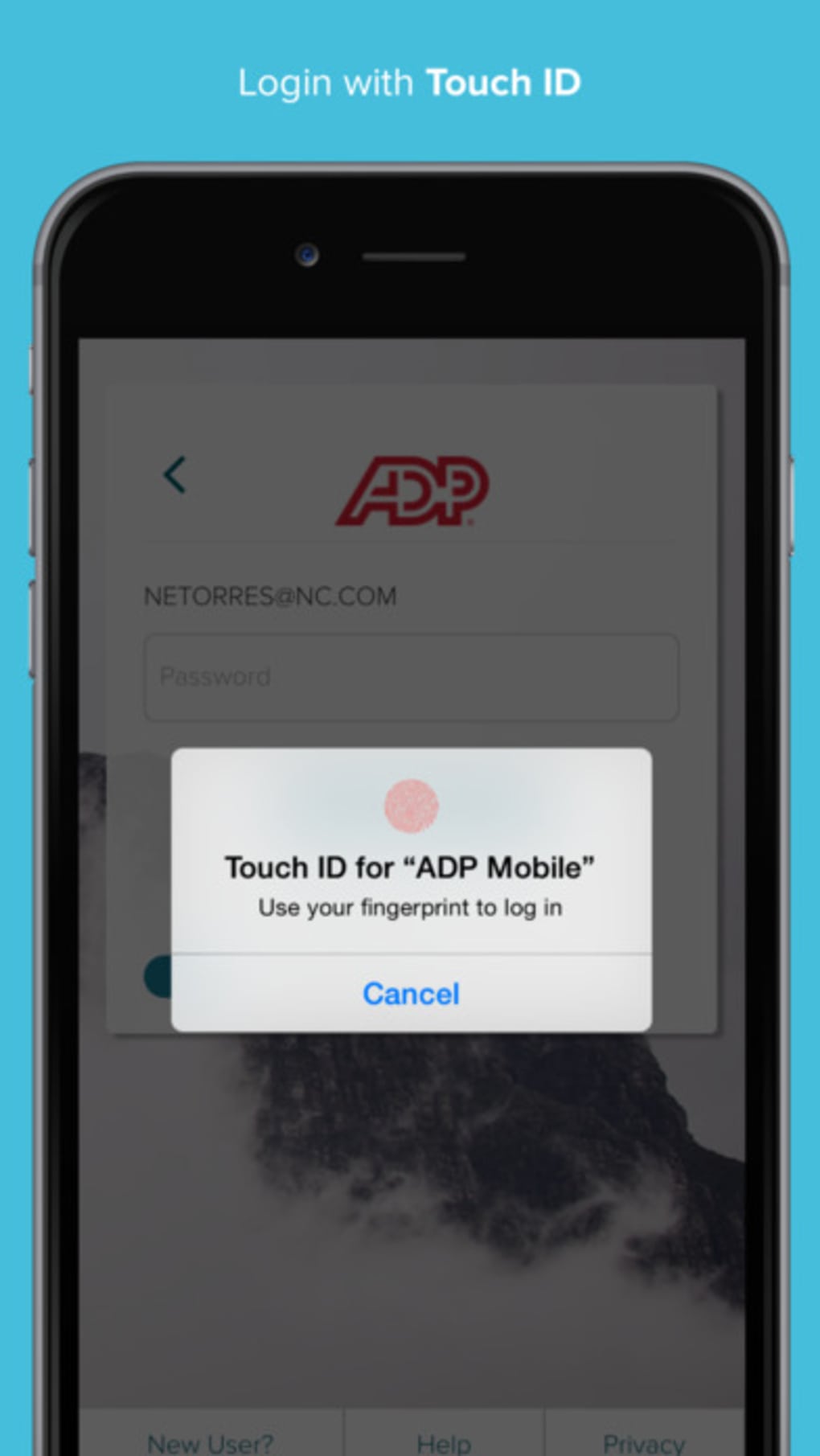 teampay adp app