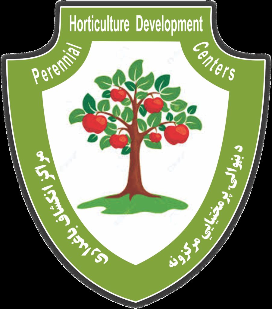 903x1024 Make In Seconds