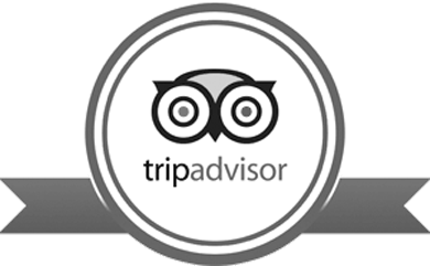 390x241 Trip Advisor Icon