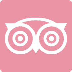 250x250 Trip Advisor Icon Pink