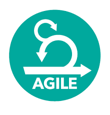220x230 Agile Icon Training