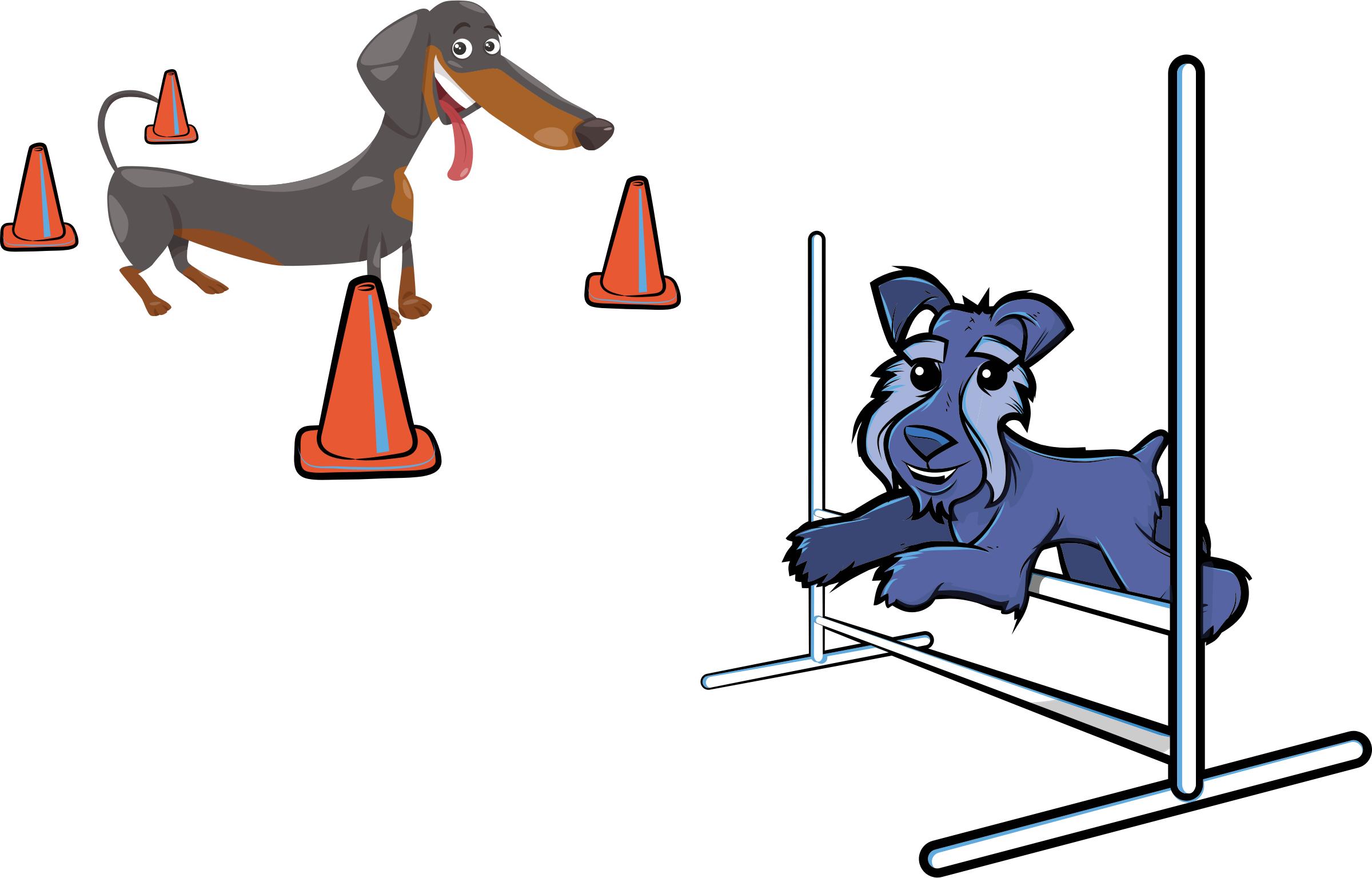 2400x1536 Dog Agility Icons Png