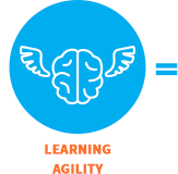 163x160 Icon How Hover Learning Agility Sage Ways Consulting