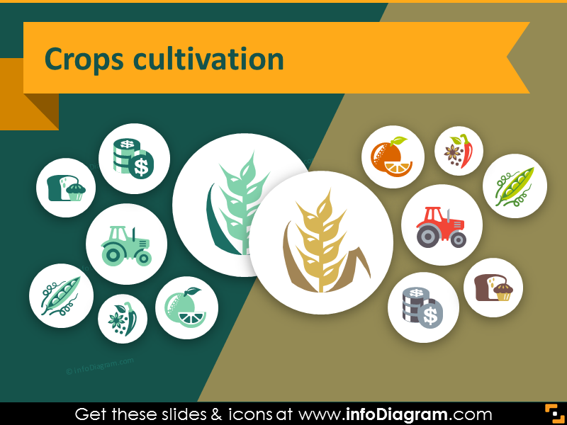 800x600 Agriculture Icons Farming Crop Ppt Presentation Infographics