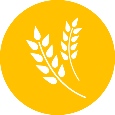 400x400 Orange Agriculture Icon Png