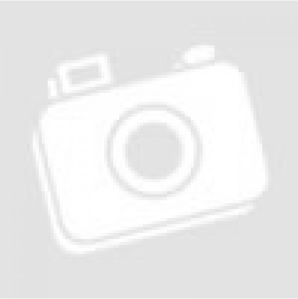 600x602 Bajaj Dc Icon Room Air Cooler