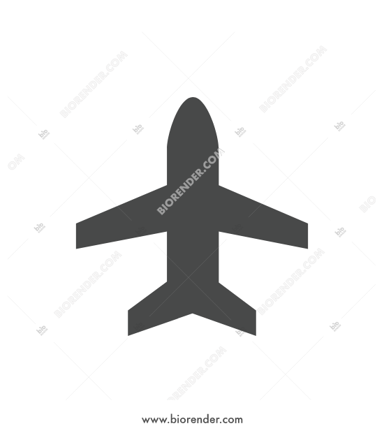 550x620 Biorender Airplane