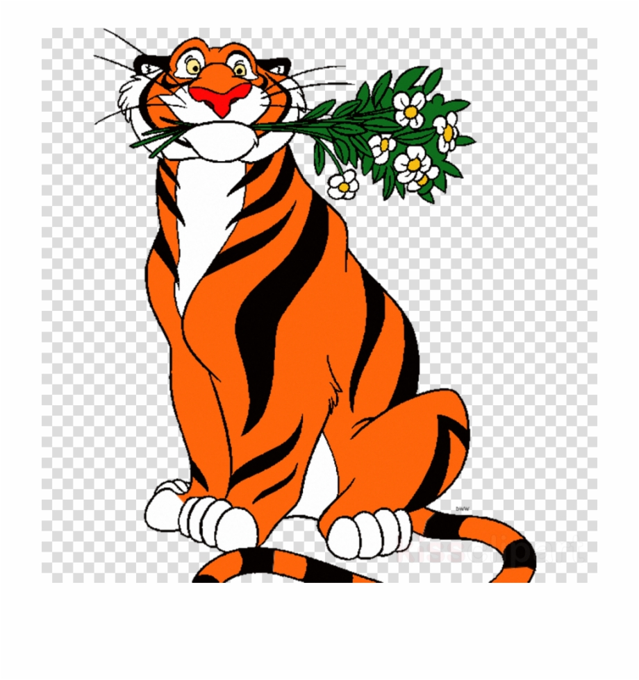 920x980 Aladdn Source